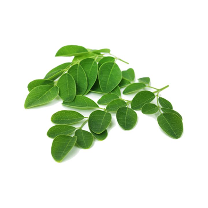 Normadex contient des feuilles de moringa, un puissant remède naturel contre les parasites